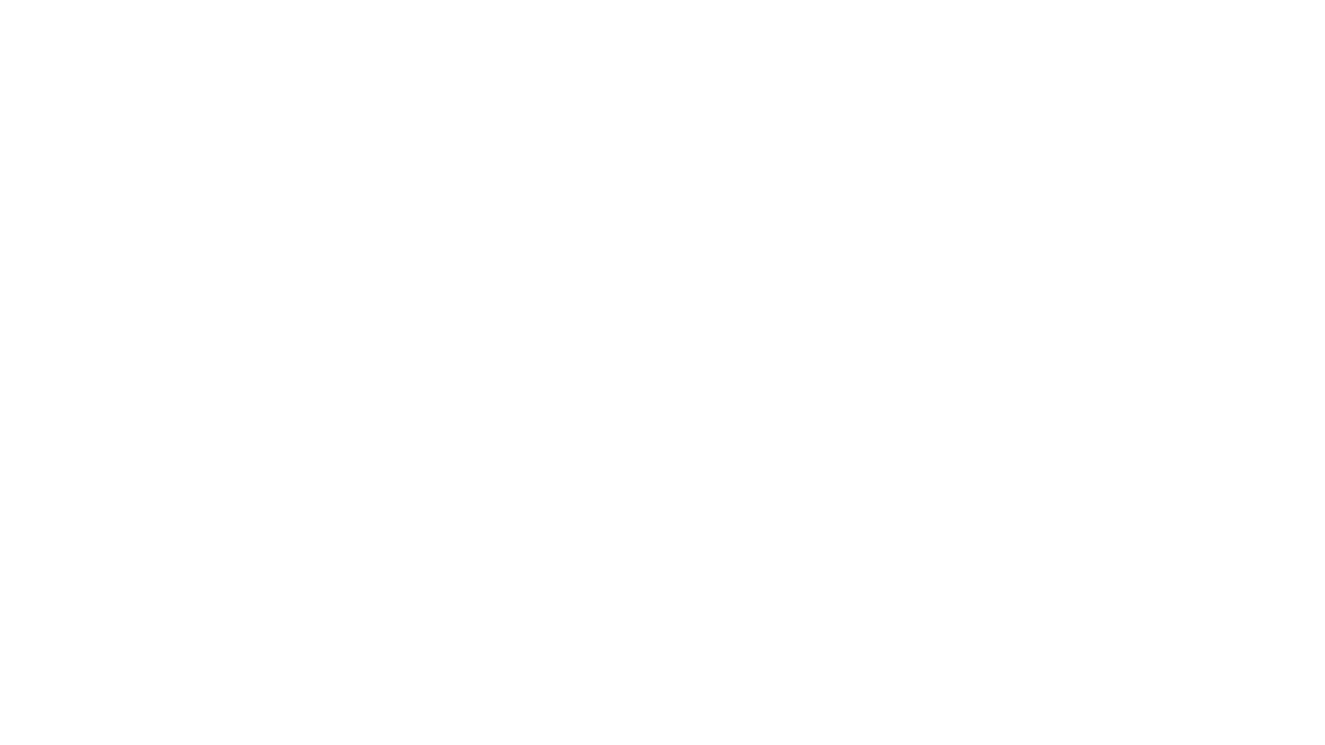 Orbea