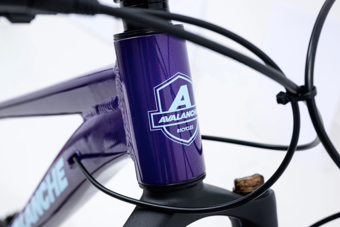 Avalanche Ignite 24 Inch Junior Girls Bike 2026