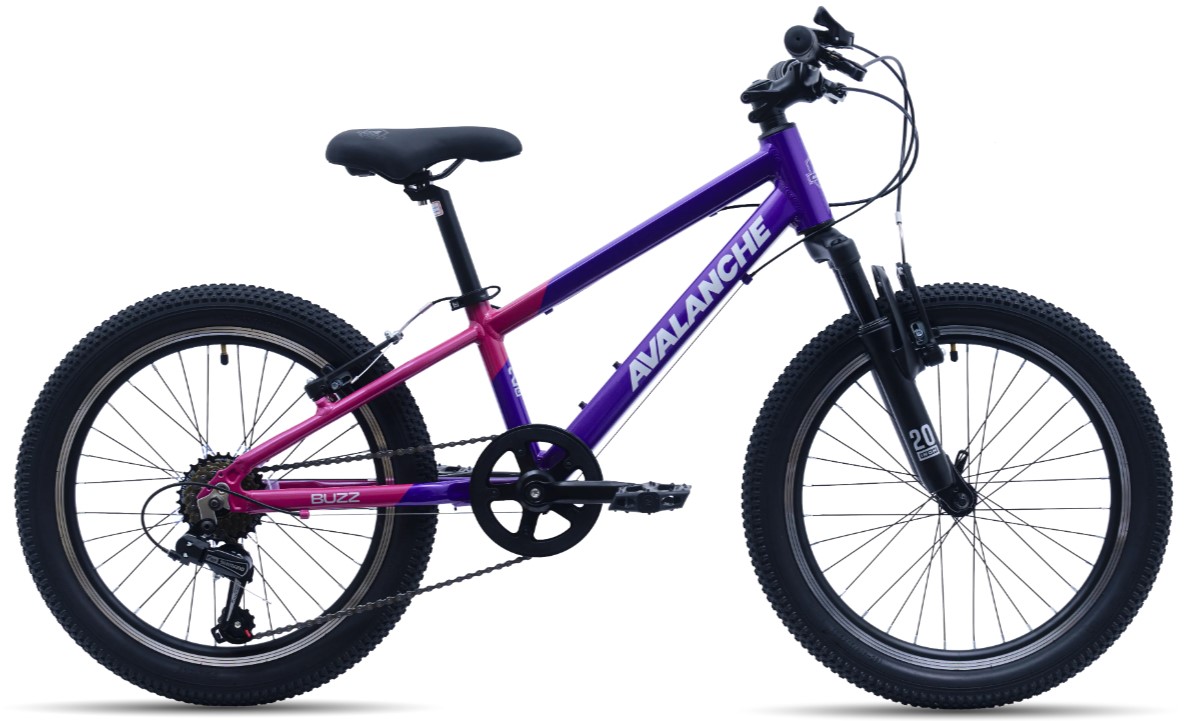 Avalanche Buzz 20 Inch Junior Girls Bike 2026