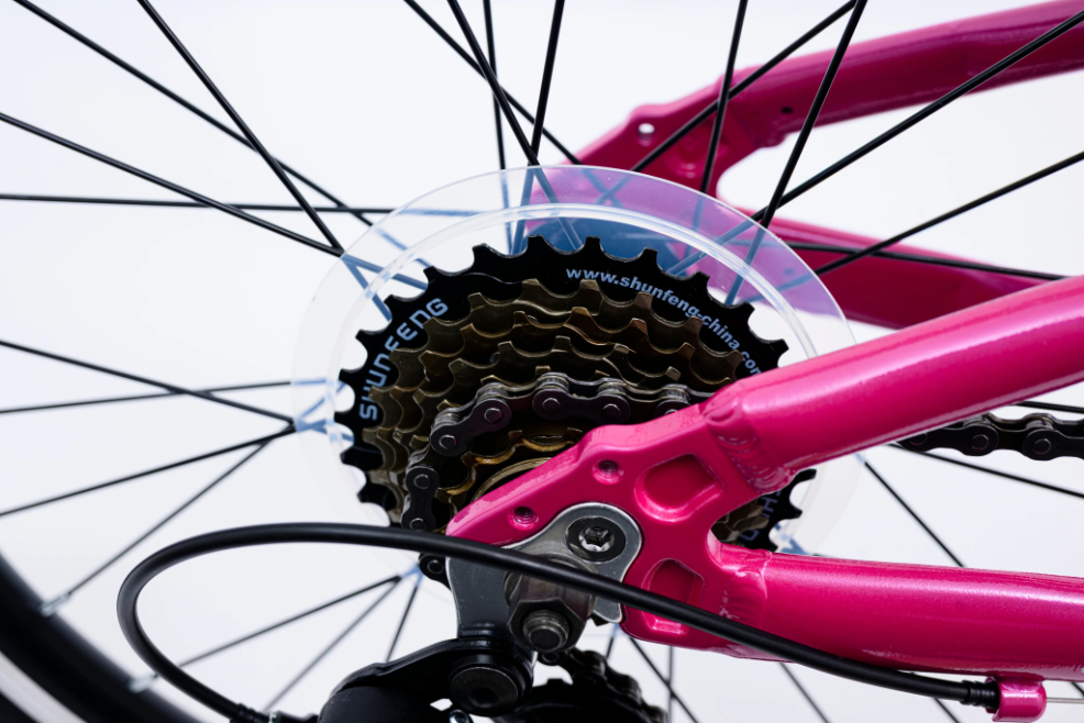 Avalanche Buzz 20 Inch Junior Girls Bike 2026